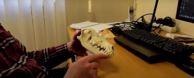 seireandmete kogumine