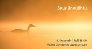 Suur linnuõhtu toimub seekord veebis