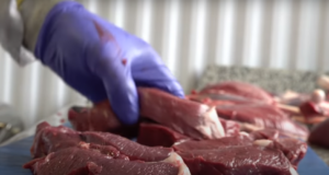 Kuidas ulukit nahastada ja liha väärindada?