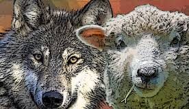 Lääne-Nigula vald on hädas huntidega Piirsalu külas