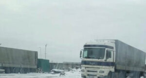 VIDEO! Narvas liikus ringi ilves