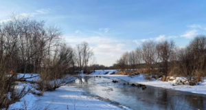 Mõniste jahimehed päästsid metssead uppumissurmast