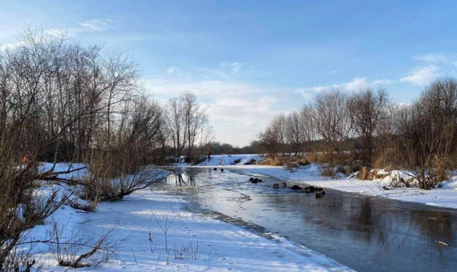 metsigade päästeoperatsioon mõnistes