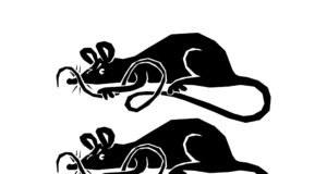 Aasta loom 2021 on rott