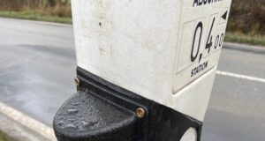 Põder hüppas valguspeegeldiga teelõigul auto ette