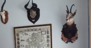 EJS jagas seakatkualaseid kogemusi prantslastele