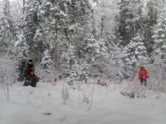 Keskkonnaamet pikendas Viljandi- ja Valgamaa jahipiirkondade kasutusõiguse lube