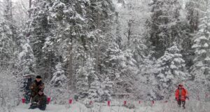 Valgamaal peeti hundijahti