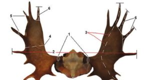 Jahitrofeede hindamine Valgas aprillis, 2021
