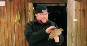 Esimene nurmkana sai endale GPS-saatja