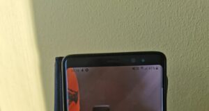 Tartumaal on võimalik jahti pidada paberivabalt