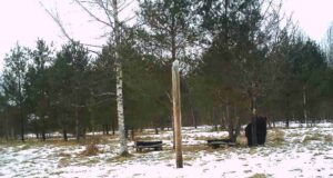 Rahnojas on ka karu taliuinakust ärganud