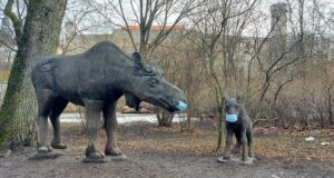 RMK alustab meditsiiniliste maskide jaotamist loomade söödapaikades