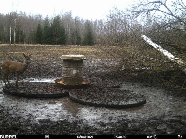 Puhaste sarvedega sokk