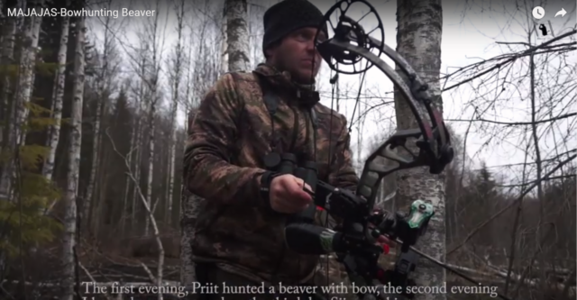 baltic trophy koprajaht