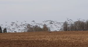 Jahimehed, läheme põllumeestele appi!