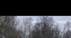 Jahimehed paigaldasid maanteele peegelpeletid