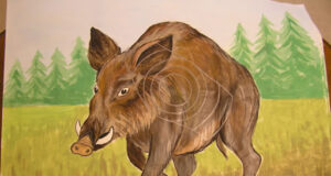 Laskekatsed Rullis pühapäeval, 25.septembril kell 10-12