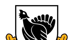 EJS-i eelinfo 11.11-17.11