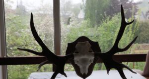 Harjumaal toimub novembris jahitrofeede hindamine