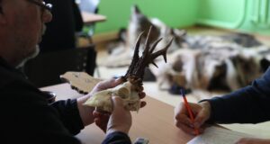 Hiiumaal toimub jahitrofeede hindamine juunis