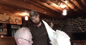 Hooaja viimased jahitrofeede hindamised toimuvad Padisel, Kärdlas ja Paides