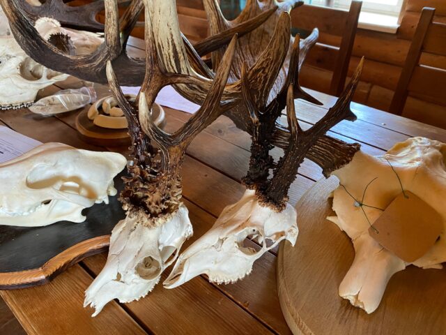 Ootavad hindamist. Foto E. Raun