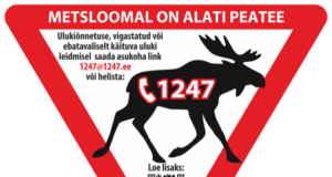 PRESSITEADE: Igal aastal toimub üle 5000 kokkupõrke sõidukite ja suurulukite vahel – kuidas seda vähendada?