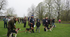 Säreveres toimub taas jahikoerte erinäitus