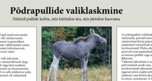 Valiklaskmise koolitus Piirsalus
