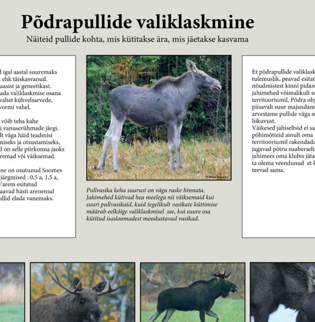 valiklaskmine -FB kuulutuse pilt