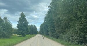 Kaelusega kriimsilmade karistamatus külvab kohalikes hundiviha