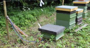 Karude tekitatud kahjusid saab inimene ennetada