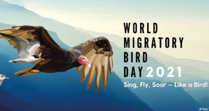 Rahvusvaheline rändlindude päev