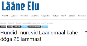 Hundid murdsid Läänemaal kahe ööga 25 lammast