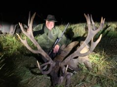 Hinnati Hiiumaa kõigi aegade vägevamad punahirvesarved