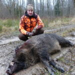 Metssiga ja kütt. Foto: IVJS