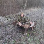 Põder läänemaa kütiga