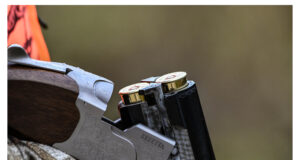 Neljas jahipiirkonnas korraldab jahti ajutiselt keskkonnaamet