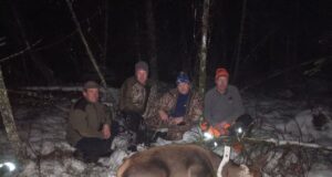 Saaremaal kaelustati hirvelehm