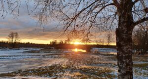 2022 on Väärtusta jahisaaki aasta