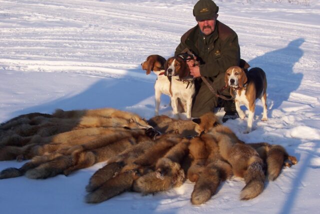 Maidu-Vallik-1536x1024