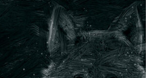 Rahvusloomast valmis raamat