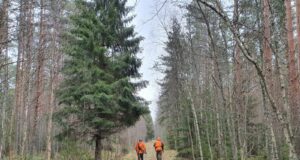 RMK enampakkumine Kuressaare jahialadele