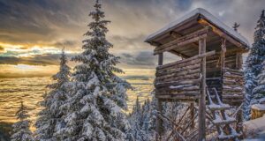 Tartu Jahindusklubi büroo töökorraldus pühade ajal