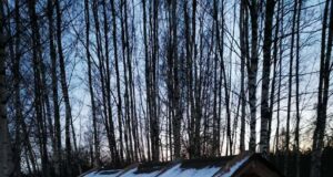 Sürgaveres elavad Ukraina lapsed ehitavad metsloomadele söödasõimesid