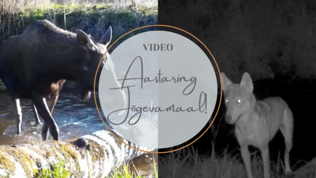 Aastaring Jõgevamaal!