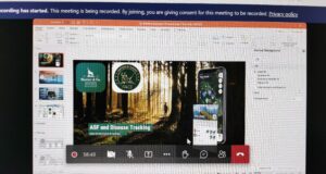 FACE arutles seakatku ja linnugripi üle