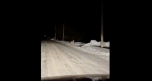 Oma silm on kuningas