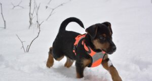 Tartu Jahitunnistuse taotlejate kursus alustab 20. märtsil